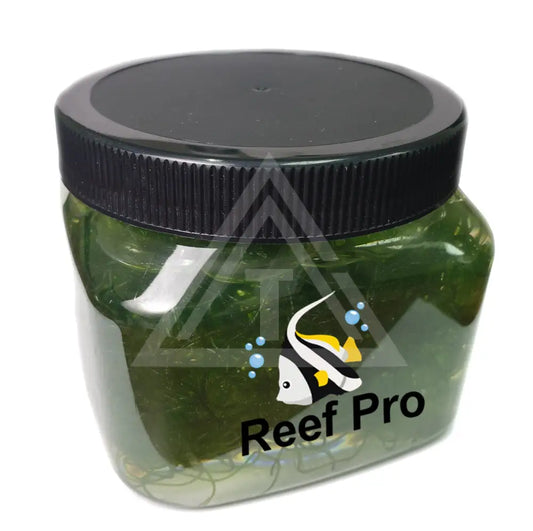 Live Clean Chaetomorpha Algae 1 Cup Cup Reef Pro Complete Product Line
